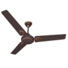 Shop Havells FUSION Expresso Brown Ceiling Fan in Coimbatore