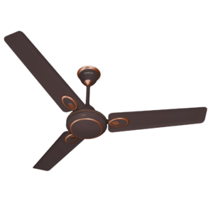 Shop Havells FUSION Expresso Brown Ceiling Fan in Coimbatore